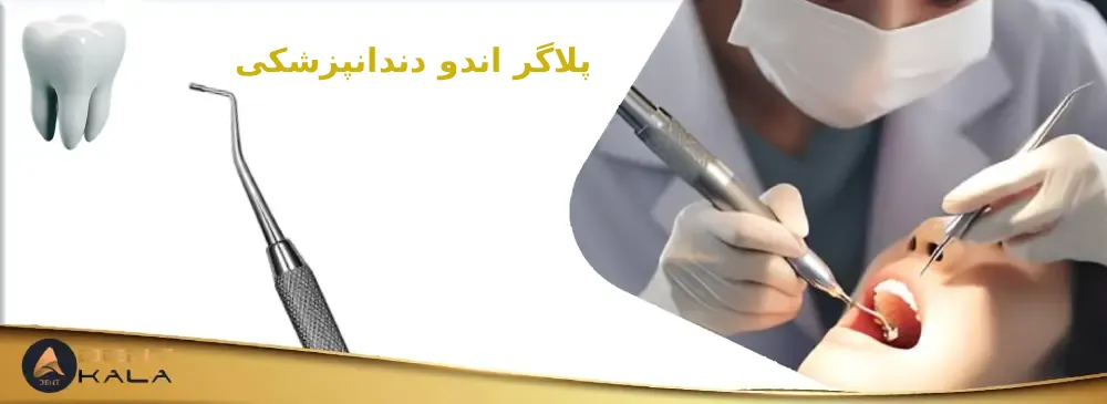 پلاگر اندو