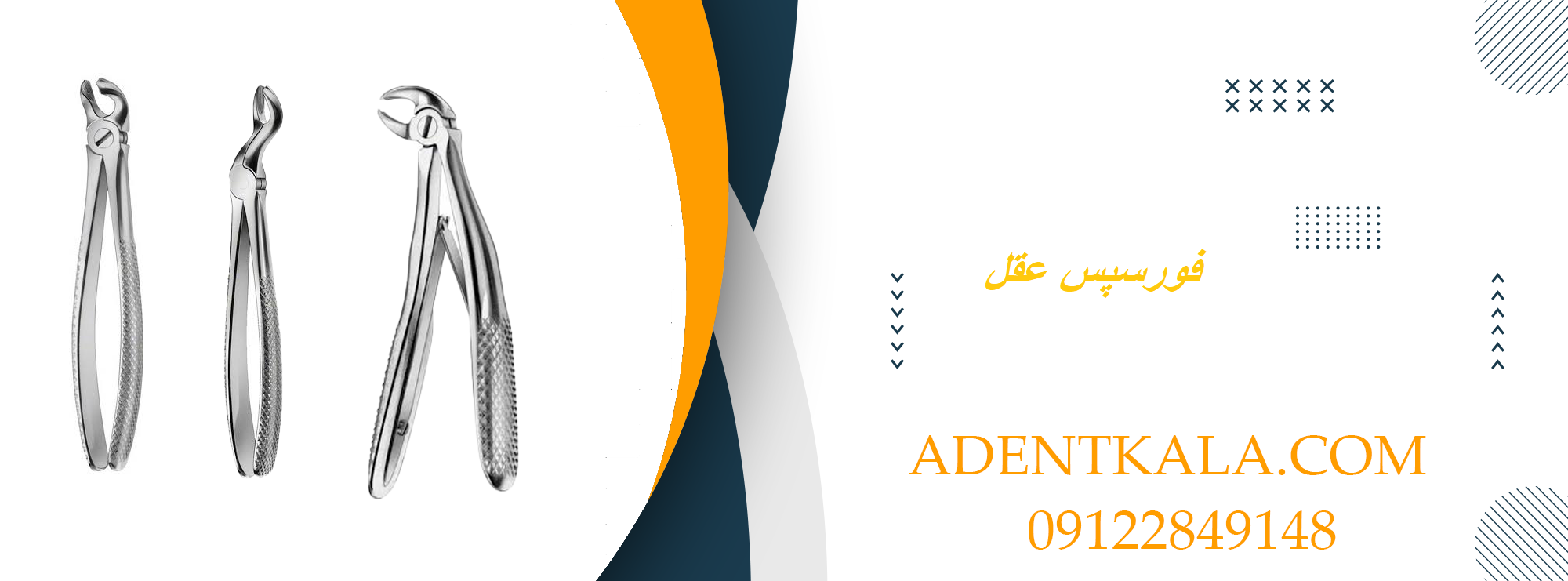 فورسپس عقل