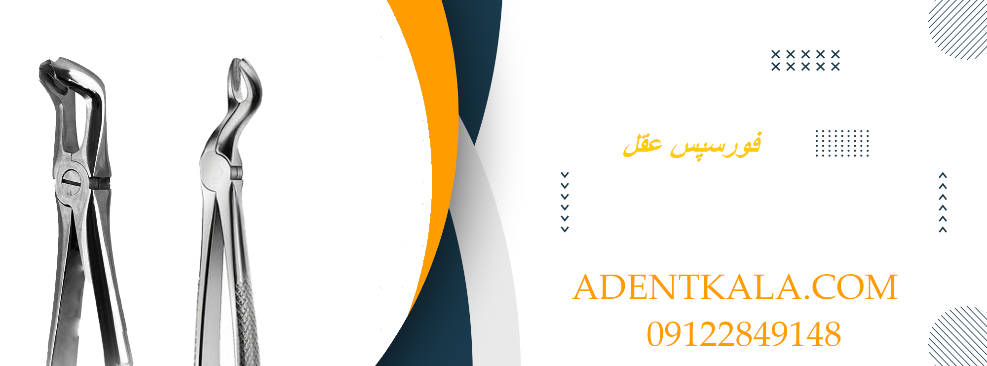 فورسپس عقل