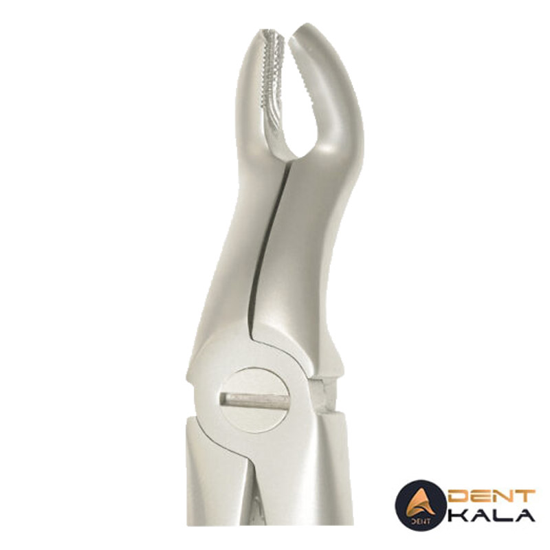 فورسپس عقل بالا آناتومیک دنا پویا 4107