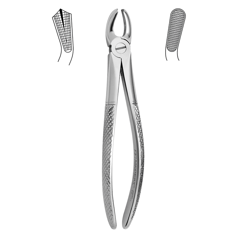 فورسپس مولر بالا راست دنا پویا کد 1104