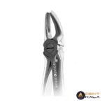 مولر بالا راست