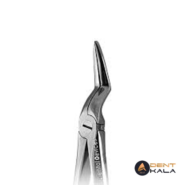 فورسپس ریشه کش بالا دنا پویا کد 1106