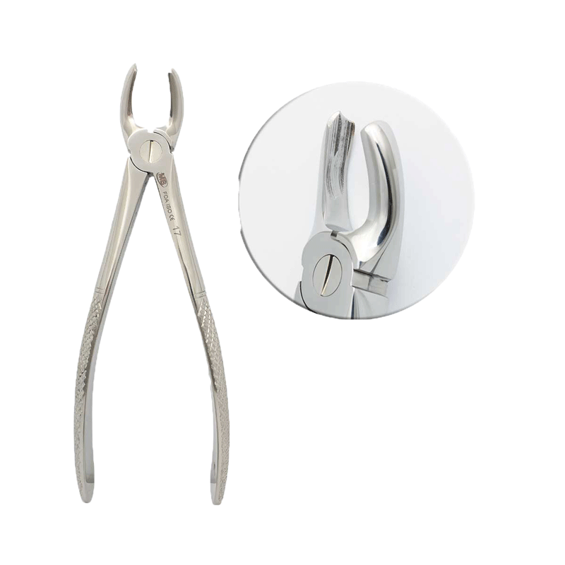 فورسپس مولر بالا راست دنا پویا کد 1104