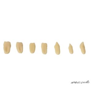 دندان آرتیکولاتور ام آی بی | MIB articulator teeth
